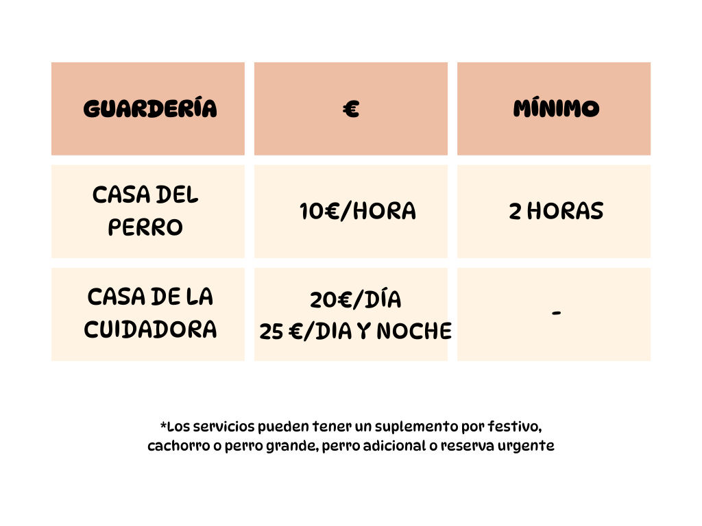 Guardería para perros en Alicante