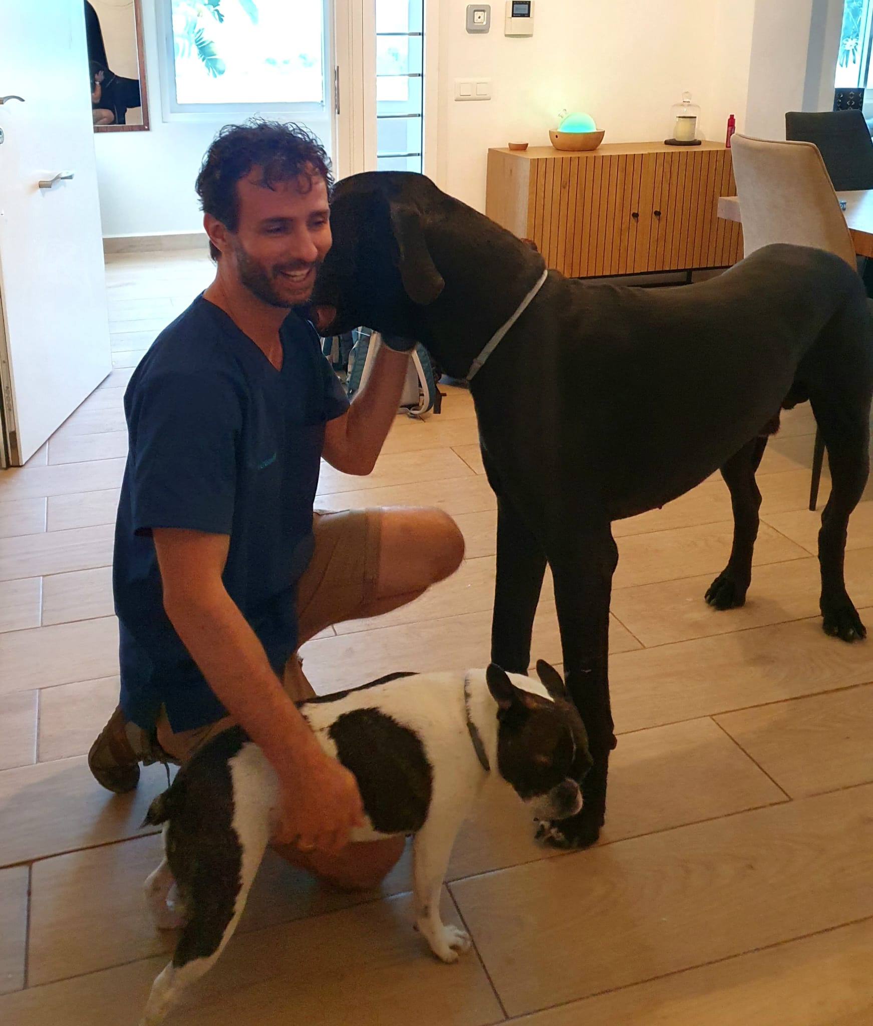 Veterinario a domicilio en Cabo Huertas y Playa de San Juan, Alicante