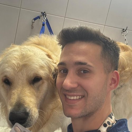Peluquería canina a domicilio en San Juan