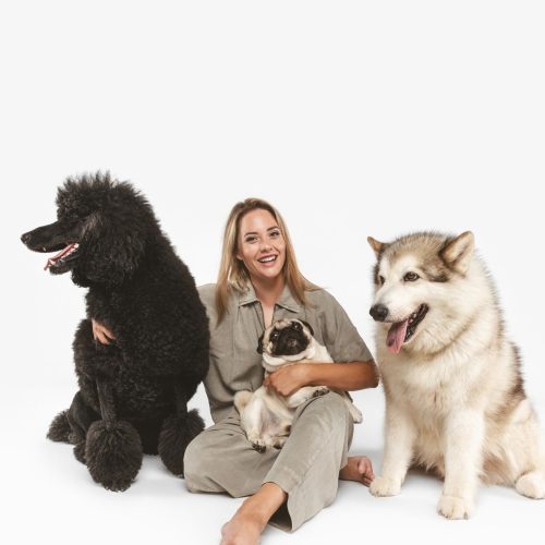 Cuidadora perros Elche