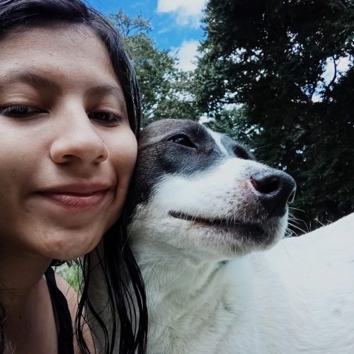 Pet sitter Alicante