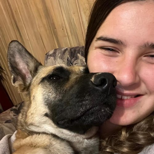 Dog sitter Alicante