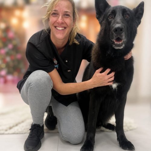 Peluquera canina a domicilio Elche