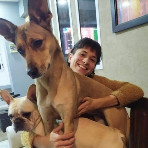 Guardería de confianza para perros en Alicante