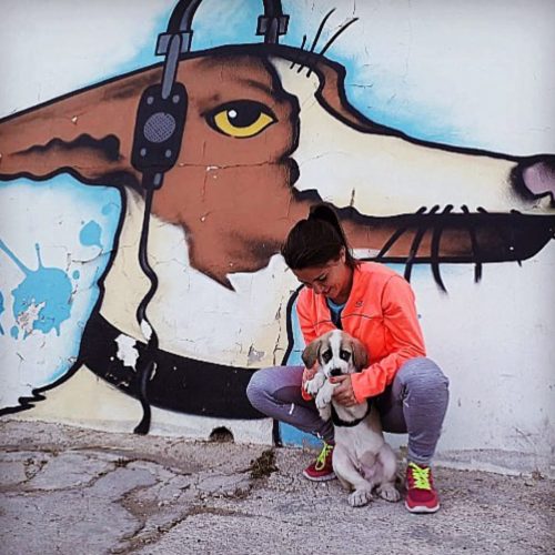 Cuidadora de perros de confianza en Elche