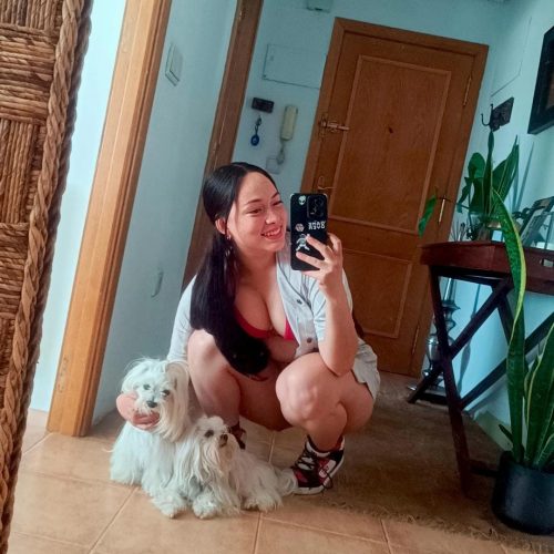 Peluquería canina a domicilio en Alicante