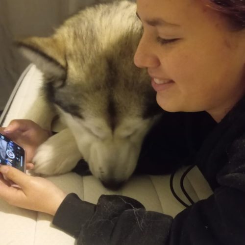 Guardería para perros MiDoggie en Elche